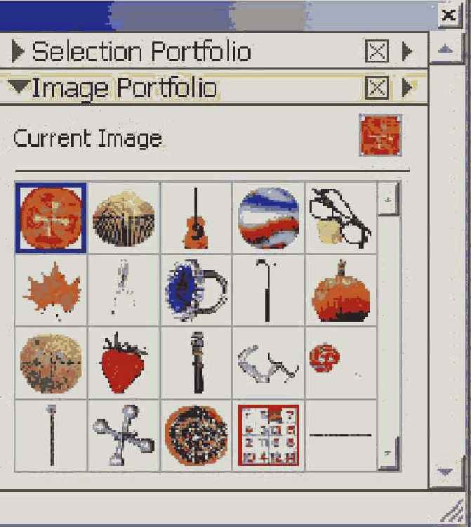  Image Portfolio